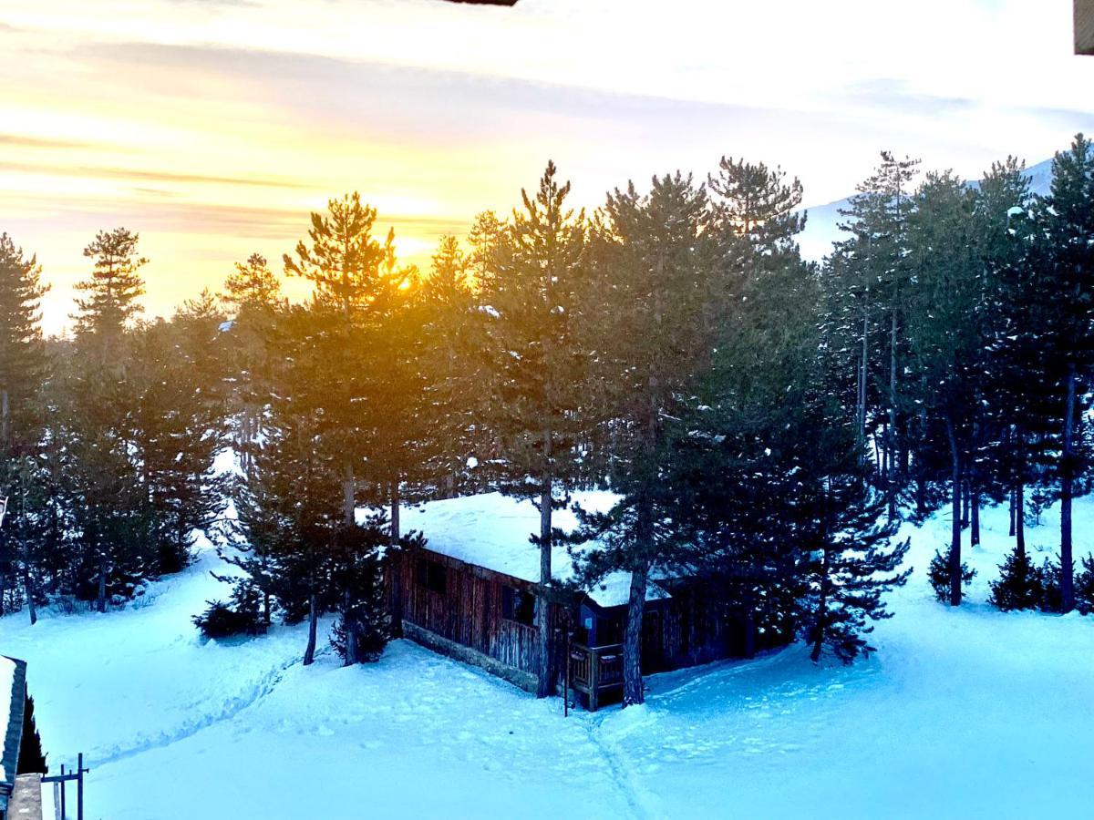 Entire Private Apartment In Pirin Golf & Country Club Bansko Esterno foto